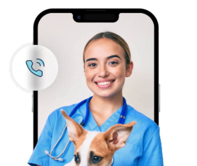 A photo of a female vet, infront of a mobile phone, holding a jack russel type dog.