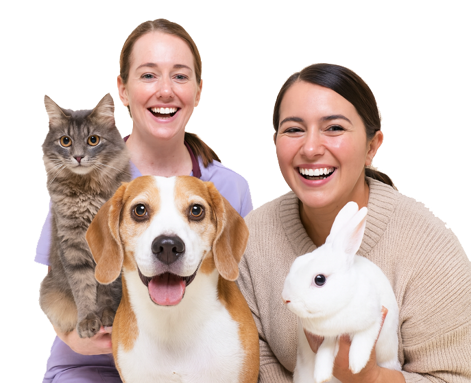 Get Exclusive Vet-Approved Health Tips